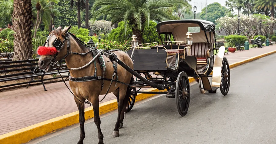 Isang kalesang hila ng kabayo na naghihintay sa isang kalye sa Intramuros